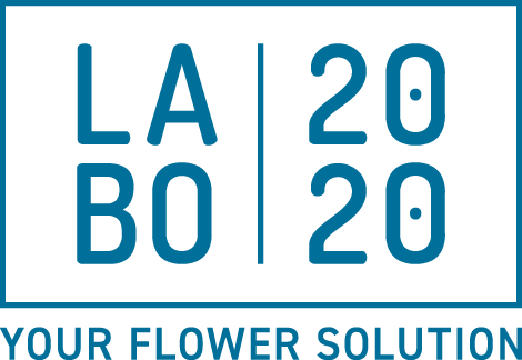 labo2020