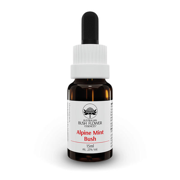 Alpine Mint Bush