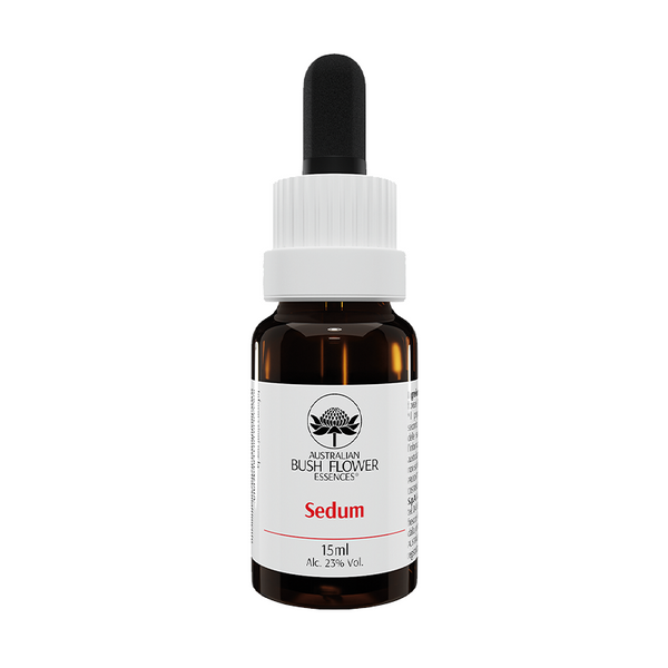 Sedum