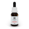 Calophyllum