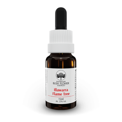 Illawarra Flame Tree