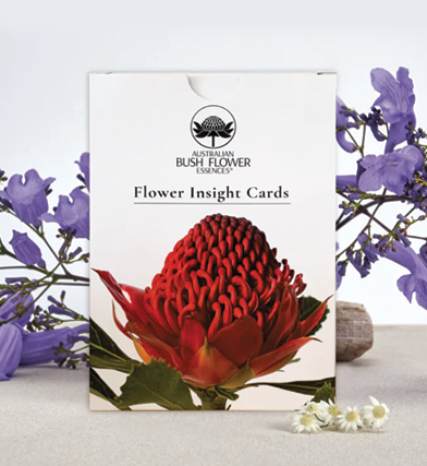 Flower Insight Cards – Le carte dei Fiori Australiani