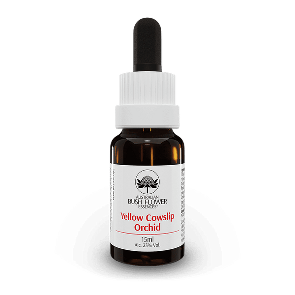 Yellow Cowslip Orchid