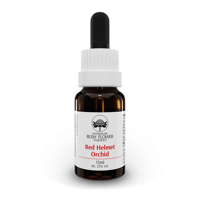 Red Helmet Orchid