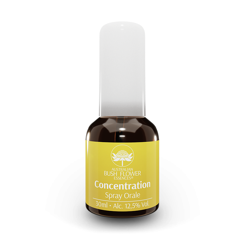 Concentration spray orale