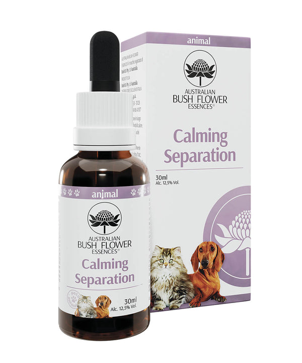 Calming Separation – Pets