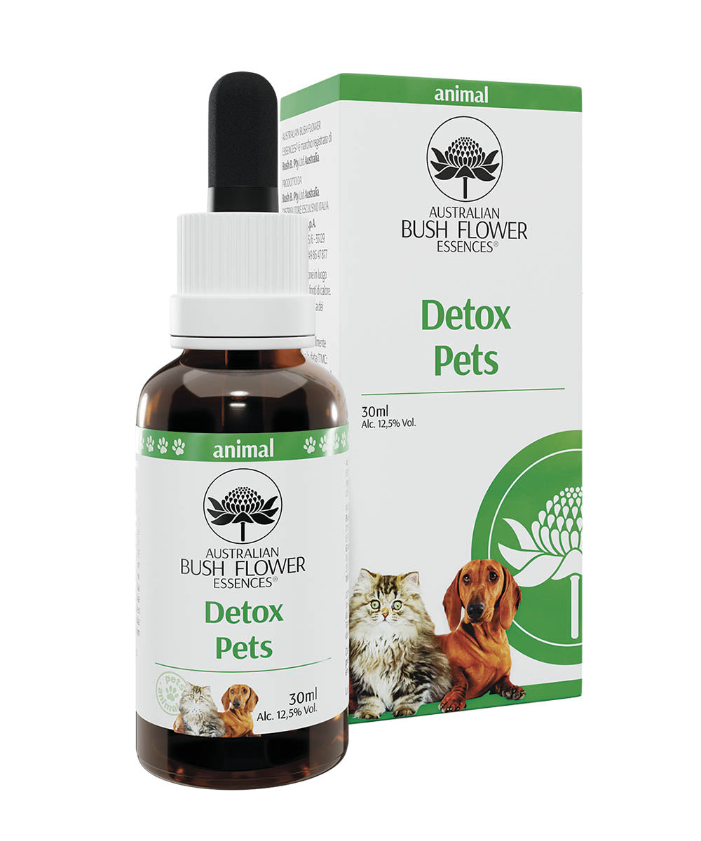 Detox – Pets