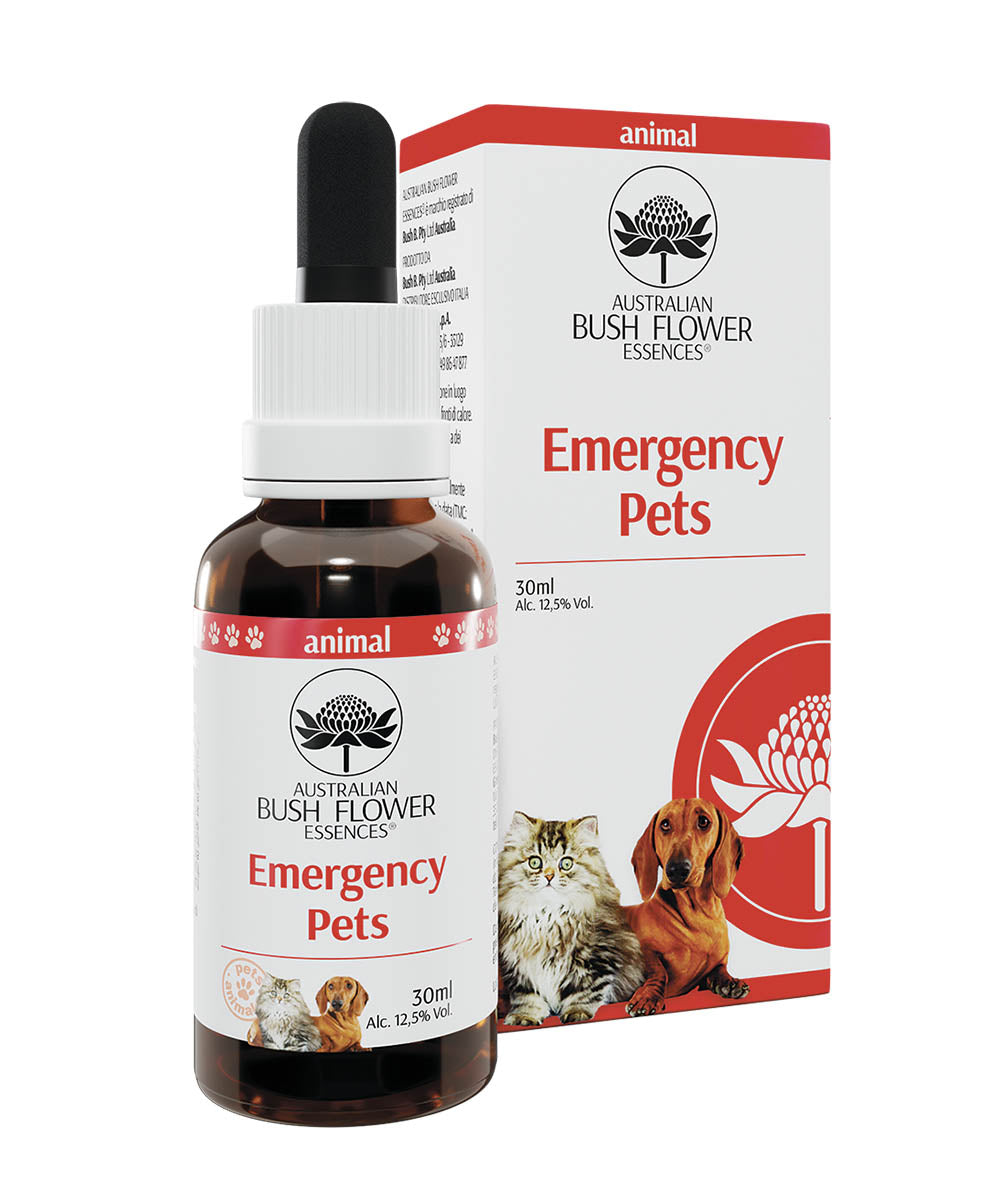 Emergency – Pets