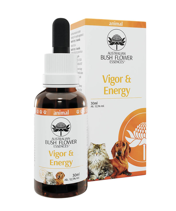 Vigor & Energy – Pets