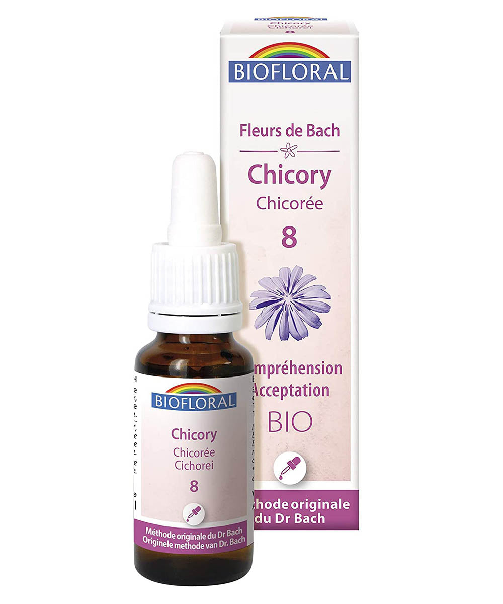 Chicory