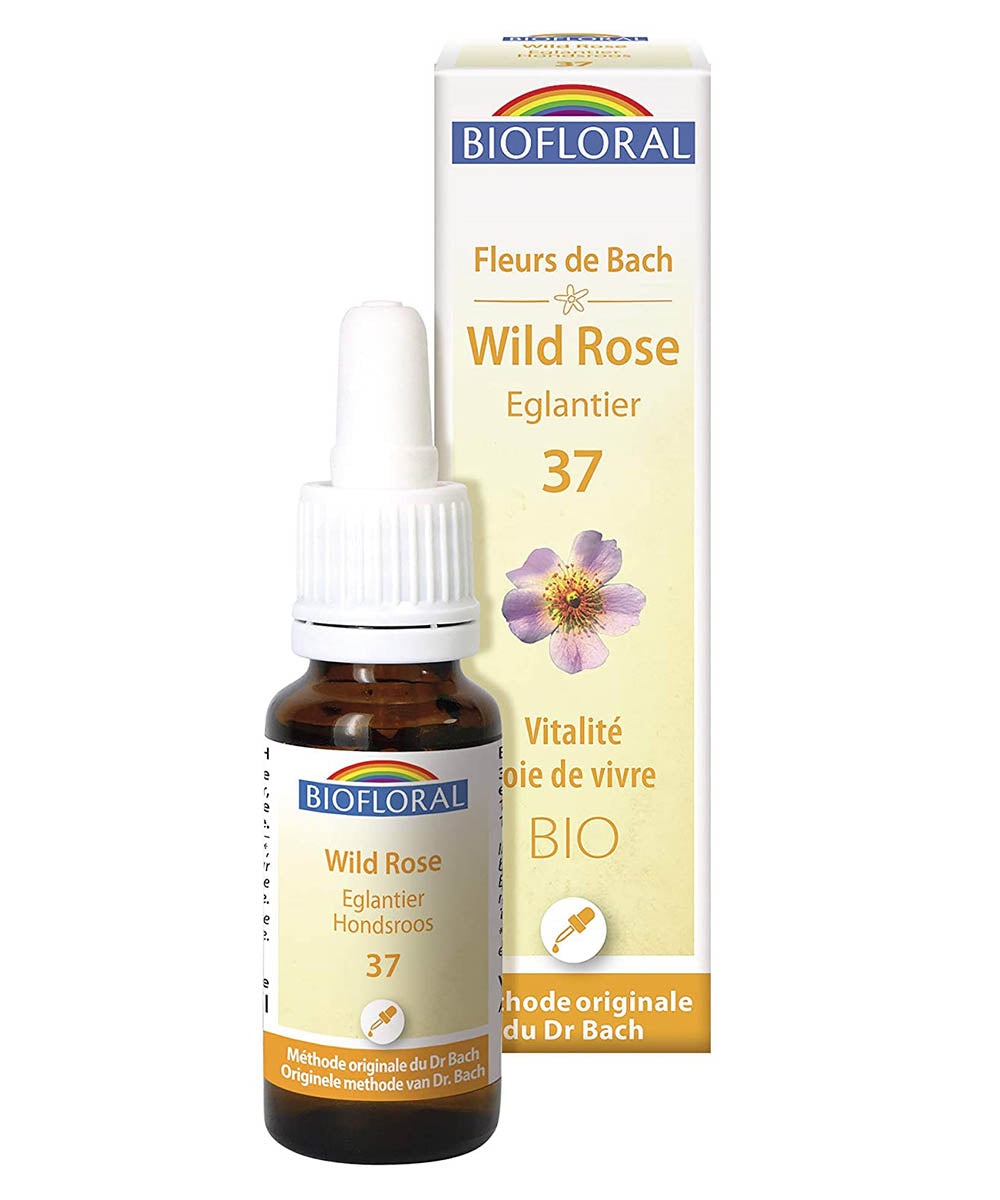 Wild Rose