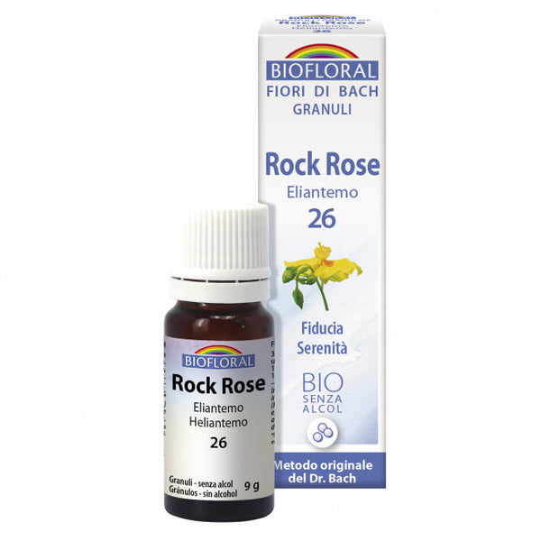 Rock Rose